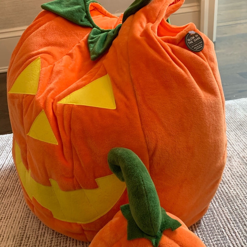 Pottery barn pumpkin costume - brand new